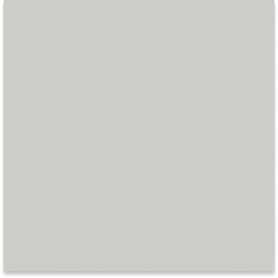 3021 Crisp Grey
